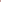 Magenta Floral