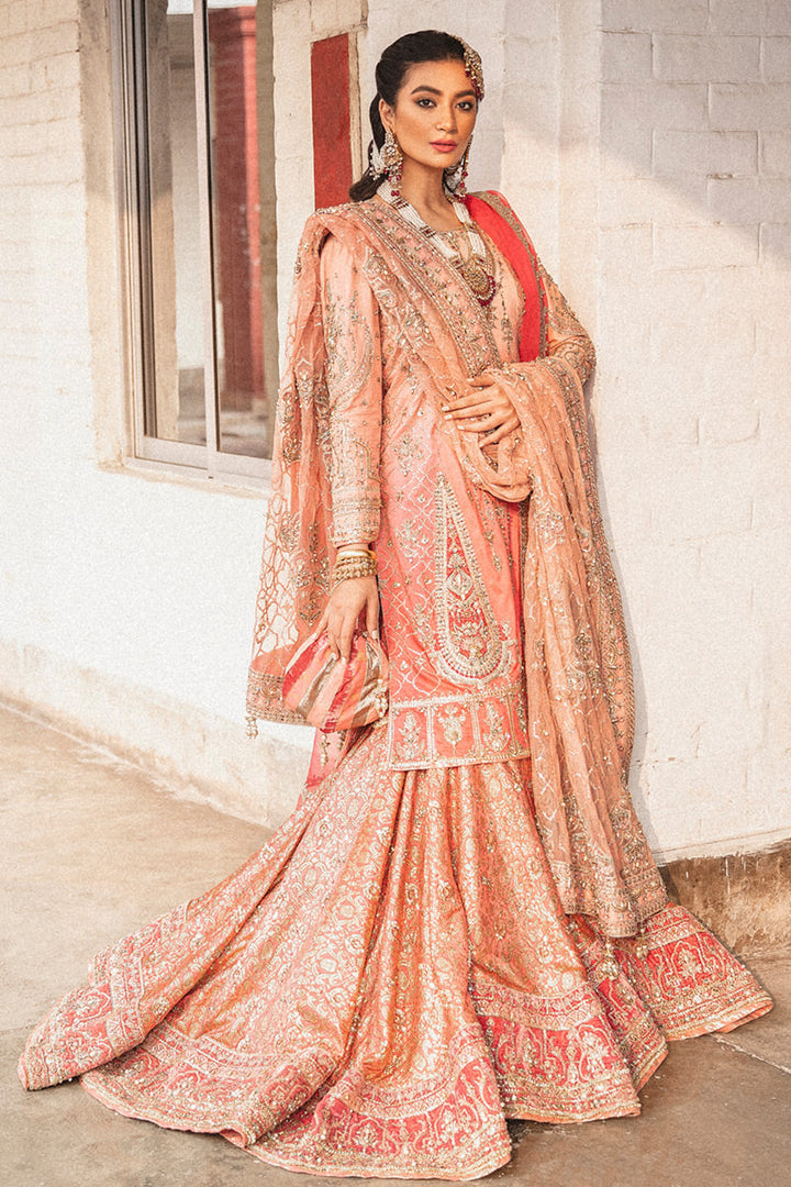 MOJGAN Mohsin Naveed Ranjha