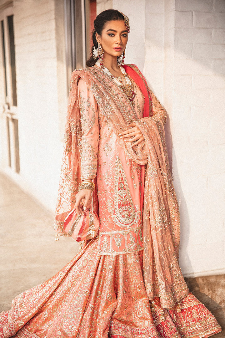 MOJGAN Mohsin Naveed Ranjha