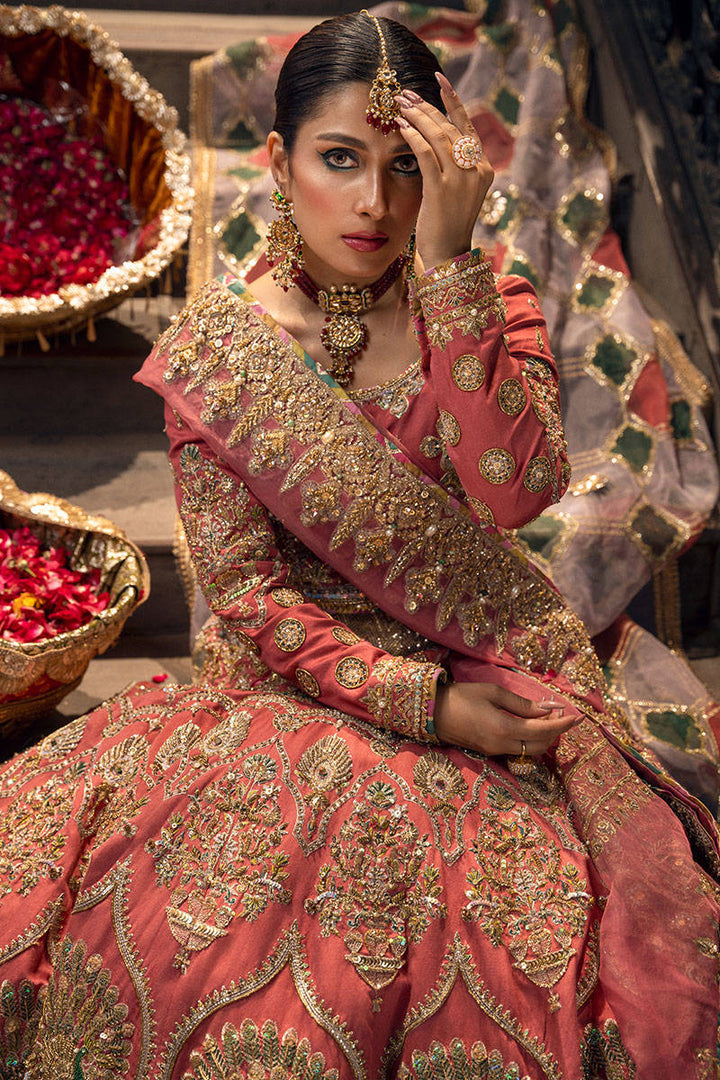 SABAA Mohsin Naveed Ranjha