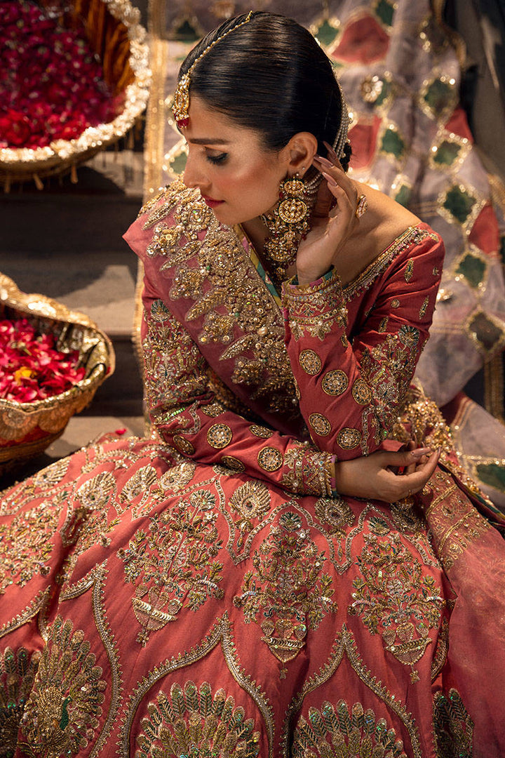 SABAA Mohsin Naveed Ranjha