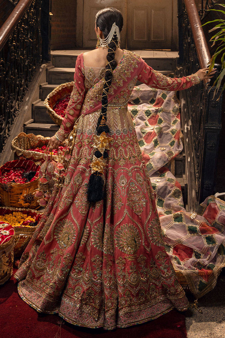 SABAA Mohsin Naveed Ranjha