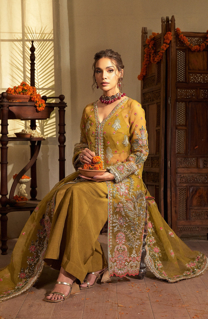 Amber Dress perfect for special occasions | Fabiha Fatima 1