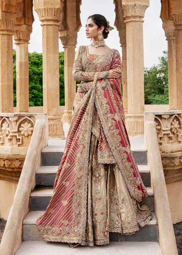 Olive Muse Choli