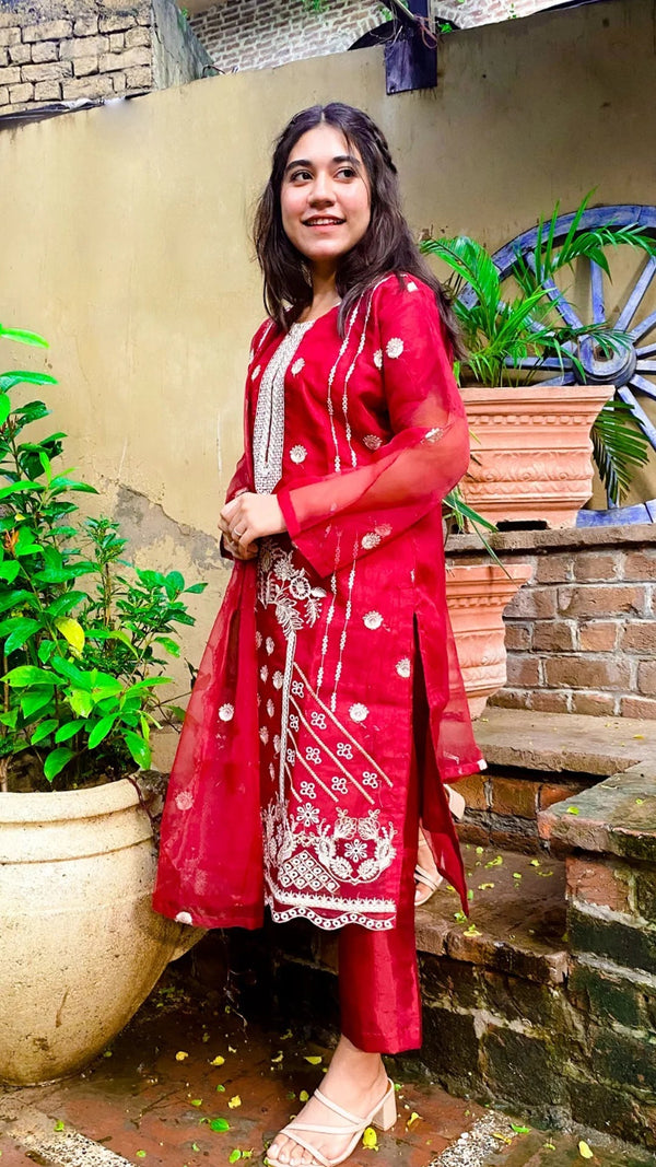 Exquisite Organza Suit Alhassancreation