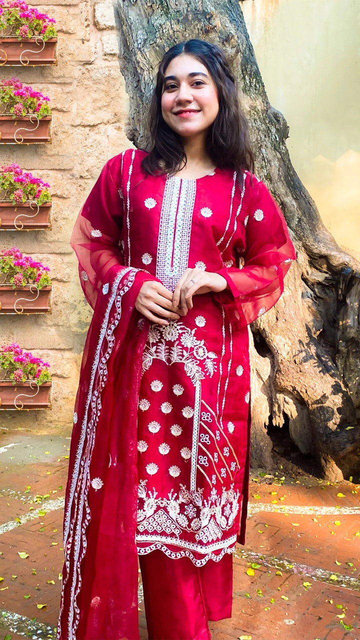 Exquisite Organza Suit Alhassancreation