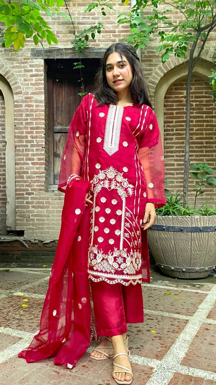 Exquisite Organza Suit Alhassancreation