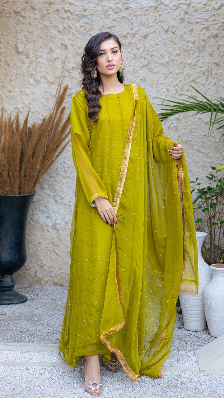 Canary Alhassancreation