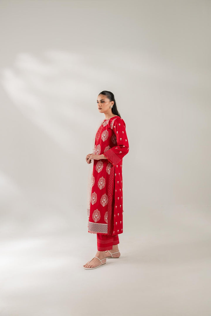 cloth