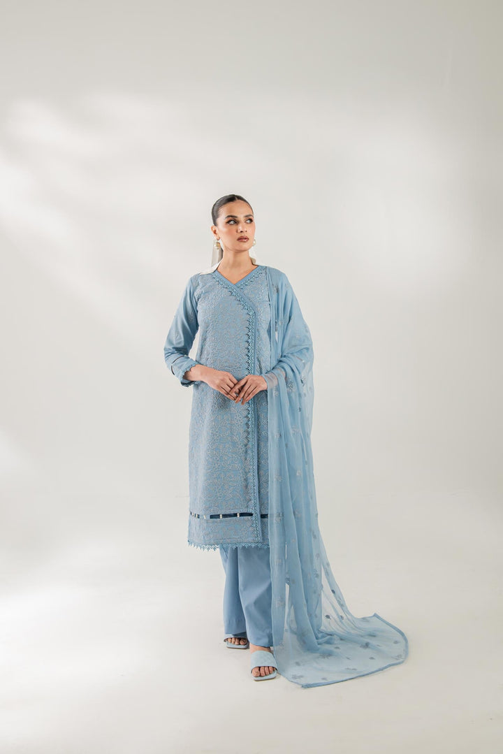 C3228B Taanabaana