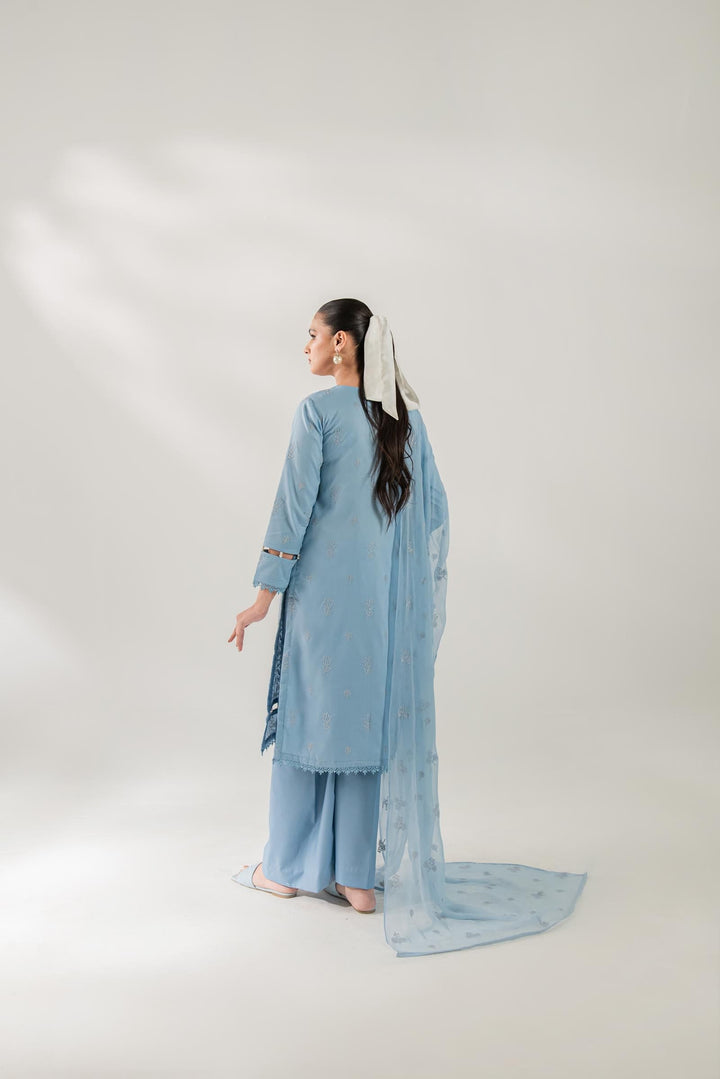 C3228B Taanabaana