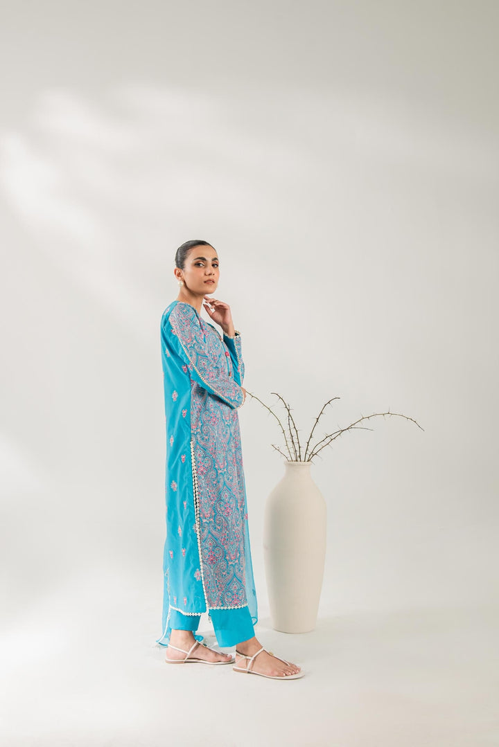 C3224B Taanabaana