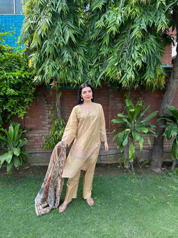Radiant Earth Tones: Attire Pret Stitched 3-Piece