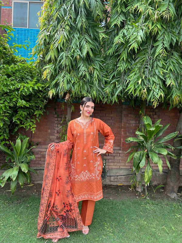 Attire Pret: Exquisite 3-Piece Viscose Embroidered Suit