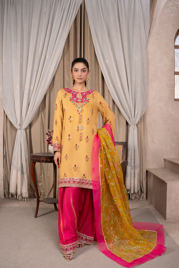 Faiza Reema Ahsan