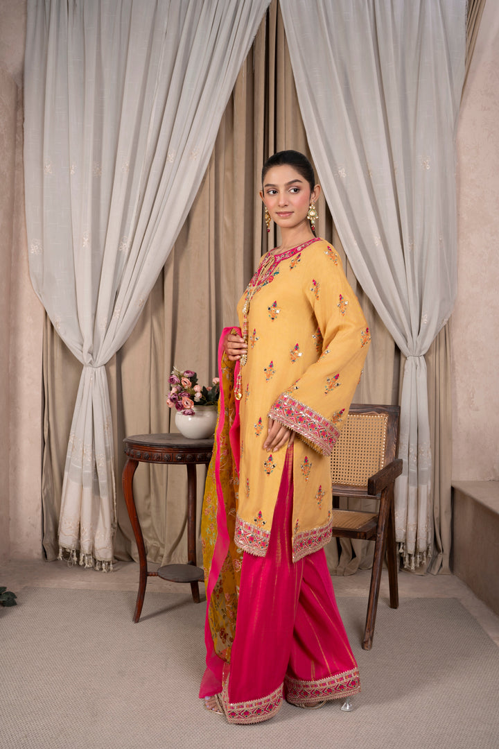 Faiza Reema Ahsan