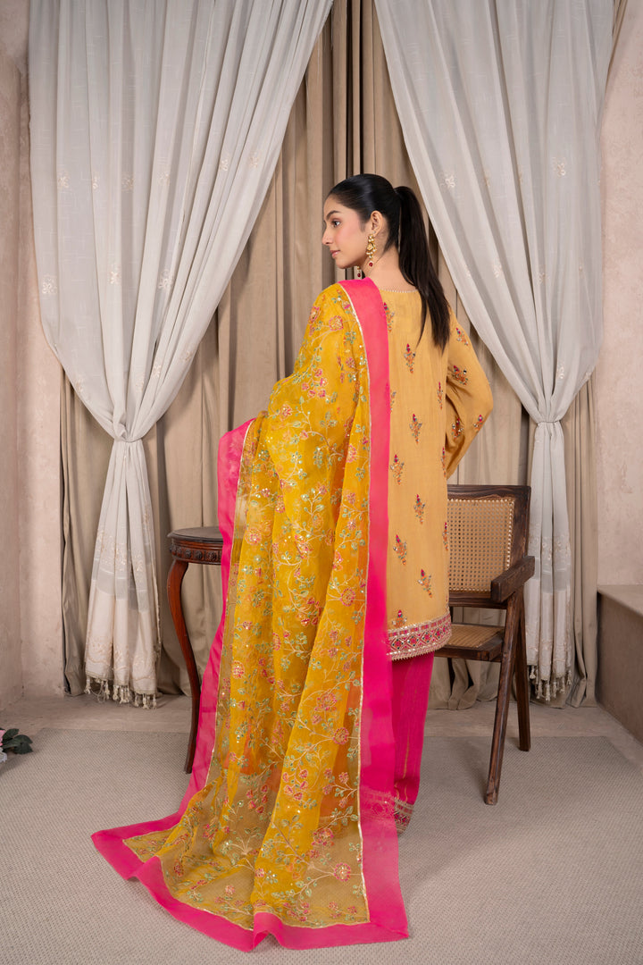 Faiza Reema Ahsan