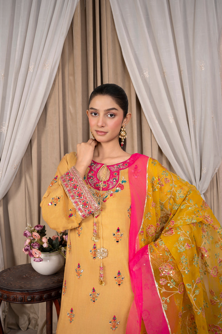 Faiza Reema Ahsan