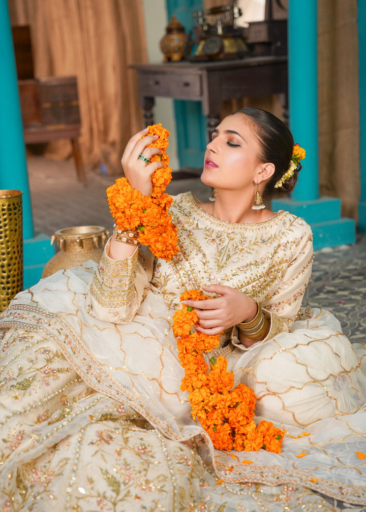 NAAZ Offwhite Gulnoor